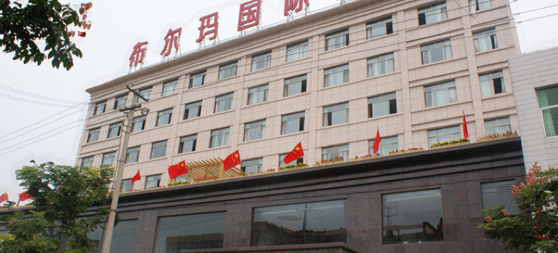 铜川布尔玛国际酒店图片