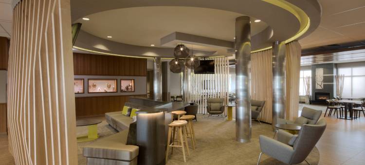 安克雷奇大学湖万豪SpringHill酒店(SpringHill Suites Anchorage University Lake)图片