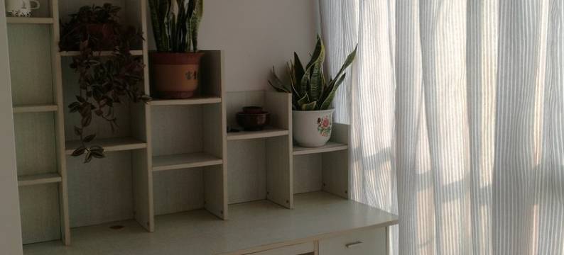 徐州莺姐公寓图片