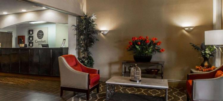 舒适酒店(Comfort Inn Amite)图片