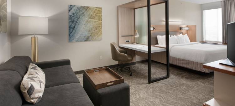 圣安吉洛万豪SpringHill Suites 酒店(SpringHill Suites San Angelo)图片