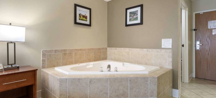 布莱克里弗福尔斯I-94舒适套房酒店(Comfort Inn & Suites Black River Falls I-94)图片