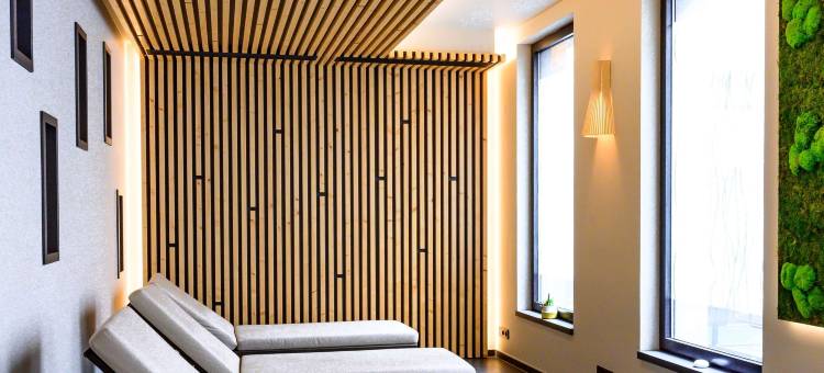 科尔玛中心诺富特全套房酒店(Novotel Suites Colmar Centre)图片