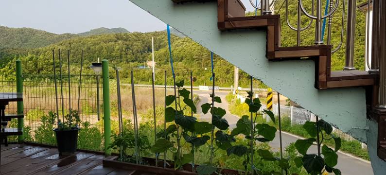 洪川海德林旅馆(Hongcheon Haedrin Pension)图片