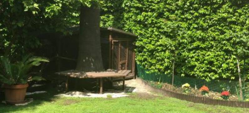 La Tana dei Dalmatini图片