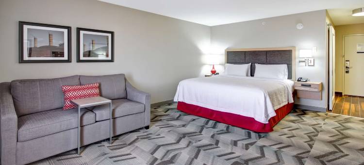 梅迪辛哈特欢朋套房酒店(Hampton Inn & Suites by Hilton Medicine Hat)图片