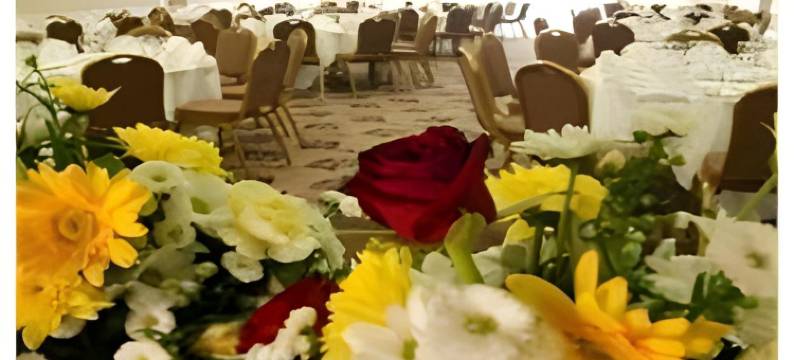 梅德斯通温德姆戴斯酒店(Days Inn by Wyndham Maidstone)图片