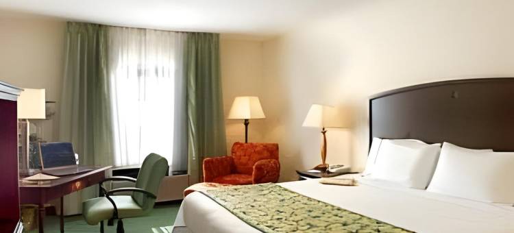 亚特兰大阿尔普哈雷塔万枫套房酒店(Fairfield Inn & Suites Atlanta Alpharetta)图片