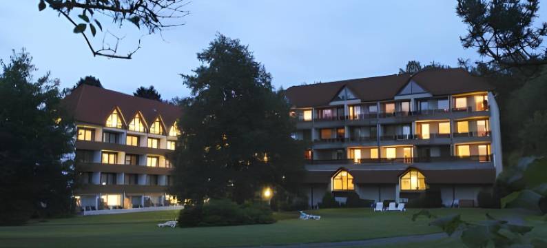 瓦尔德酒店熊石(Waldhotel Bärenstein)图片
