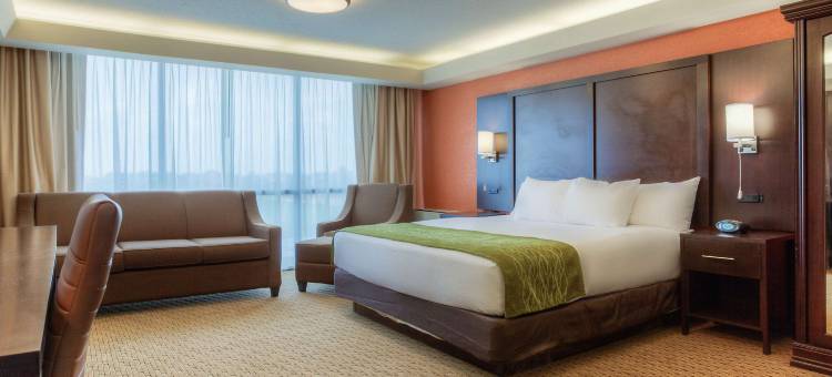 埃文斯维尔机场舒适酒店(Comfort Inn & Suites Evansville Airport)图片