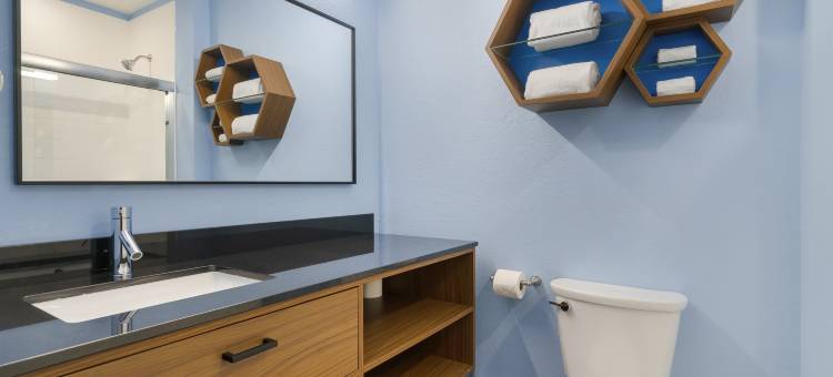 Hometowne Studios 坦帕机场(HomeTowne Studios Tampa - Airport)图片