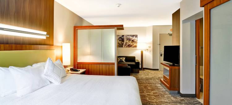 哥伦比亚SpringHill Suites酒店(SpringHill Suites by Marriott Columbia Fort Meade Area)图片