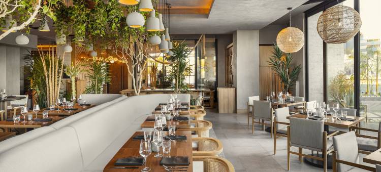 希尔顿格芮精选酒店斯科特斯德塞纳之家(Senna House Hotel Scottsdale, Curio Collection by Hilton)图片