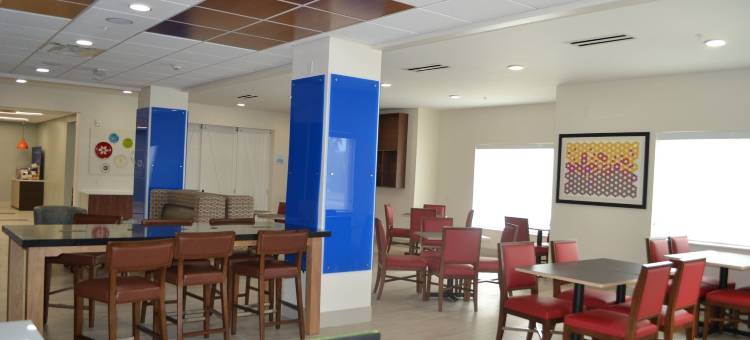 塔拉哈西大学中心洲际智选假日酒店(Holiday Inn Express TALLAHASSEE-UNIVERSITY CENTRAL by IHG)图片