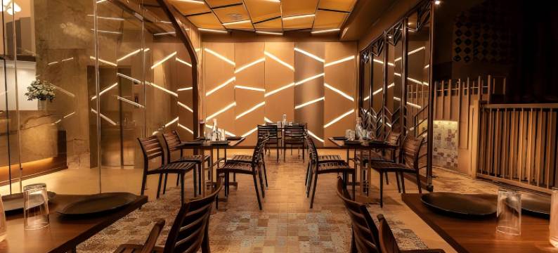 东方紫菀酒店(Hotel Oriental Aster - Mumbai International Airport)图片