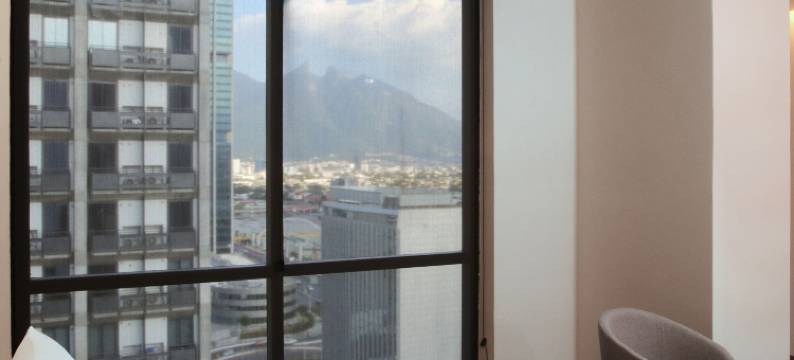 蒙特雷市中心万豪City Express酒店(City Express Plus by Marriott Monterrey Centro)图片