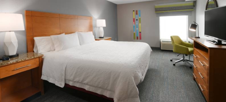 希尔顿欢朋套房酒店-休斯顿医学中心/雷莱恩公园(Hampton Inn & Suites Houston Medical Center NRG)图片