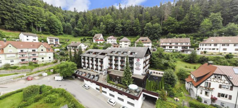 黑森林皇宫贝斯特韦斯特优质酒店(Best Western Plus Hotel Schwarzwald Residenz)图片