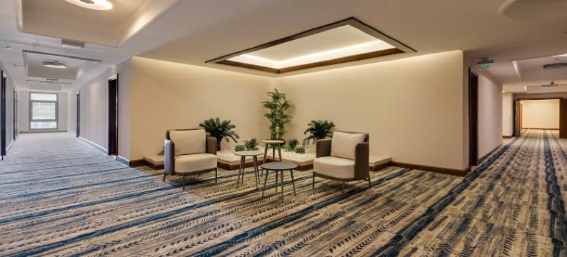 凡城希尔顿逸林酒店(Doubletree by Hilton Van)图片