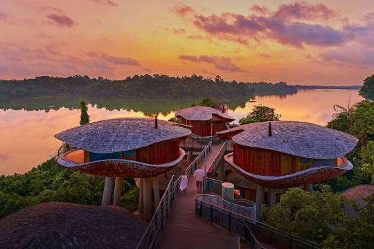 萬態雨林悅榕莊