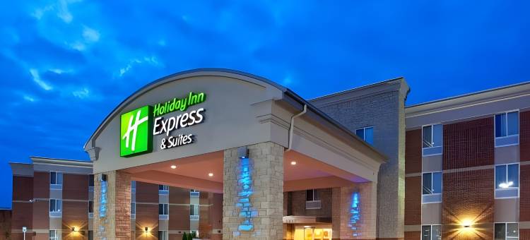 智选假日套房酒店奥本希尔斯(Holiday Inn Express & Suites Auburn Hills)图片