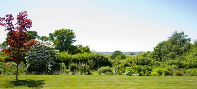 克雷福林16世纪乡村民宿(Cleavers Lyng 16th Century Country House)图片