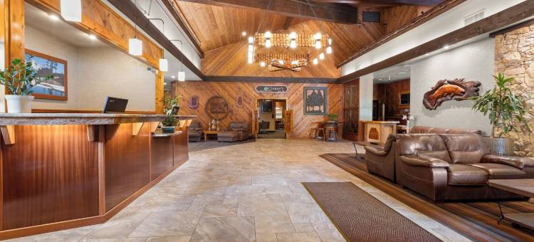 树屋贝斯特韦斯特优质酒店(Best Western Plus Tree House)图片