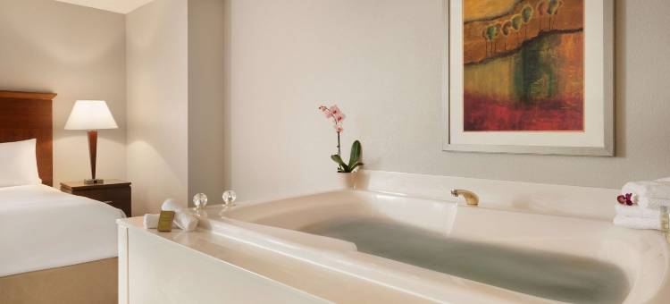 明尼阿波利斯公园广场希尔顿逸林酒店(DoubleTree by Hilton Minneapolis-Park Place)图片