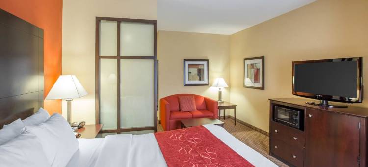 舒适套房酒店-黄金群岛(Comfort Suites Golden Isles Gateway)图片