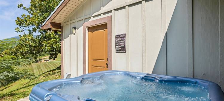 私人15英亩带池塘热水浴缸游戏室(Sharp Hollow by Beyond Expectations W Hot Tub)图片