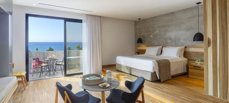 阿内密套房酒店(Anemi Hotel & Suites)图片