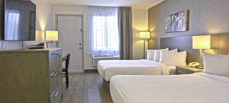 伊克诺生态酒店(Repotel Levis)图片