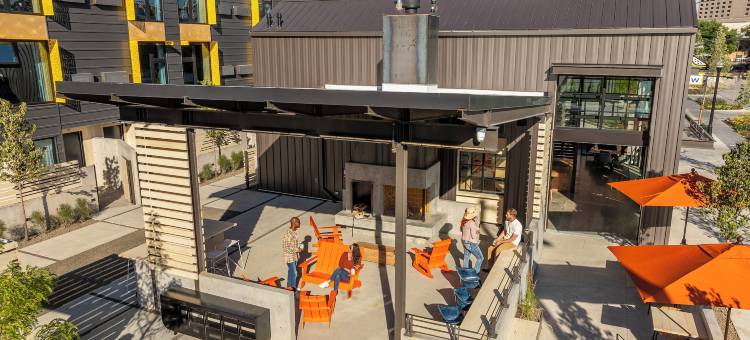 麻雀旅馆(The Sparrow)图片