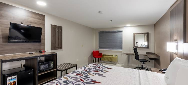 麦卡伦法尔红顶酒店(Red Roof Inn Pharr - McAllen)图片