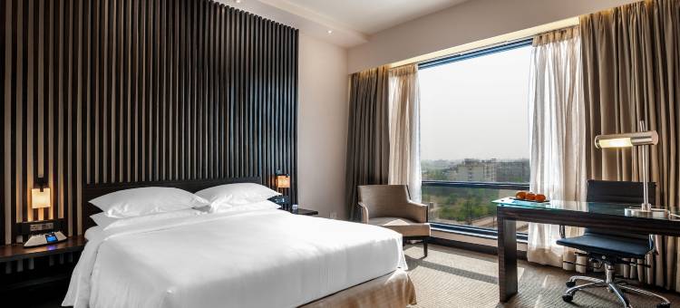 赖布尔Hyatt酒店(Hyatt Raipur)图片