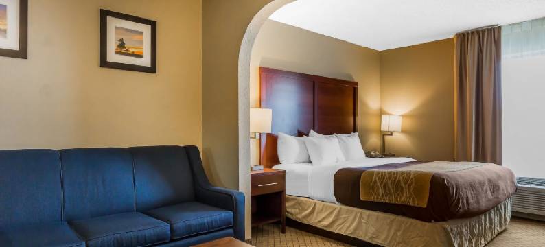 米沙瓦卡-南本德舒适套房酒店(Comfort Inn & Suites Mishawaka-South Bend)图片