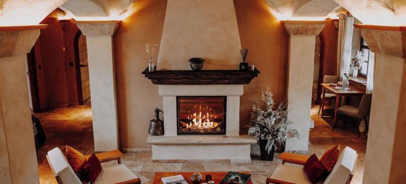 里特谷特波西兹有限责任公司酒店(Rittergut Positz)图片