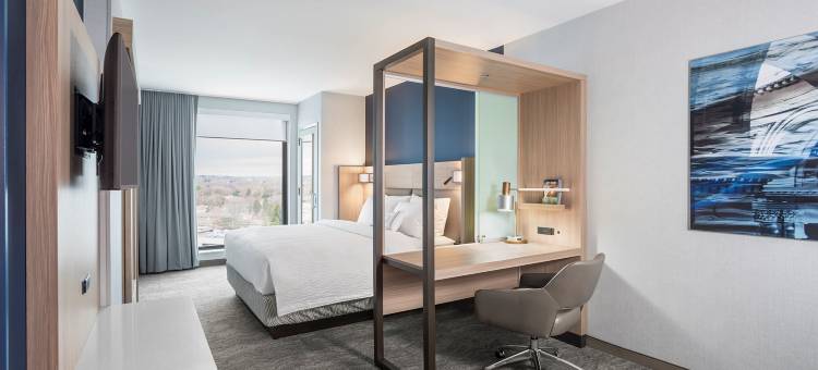 SpringHill Suites Madison图片