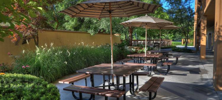 凯艺酒店-近鸽子谷岛(Quality Inn Near the Island Pigeon Forge)图片