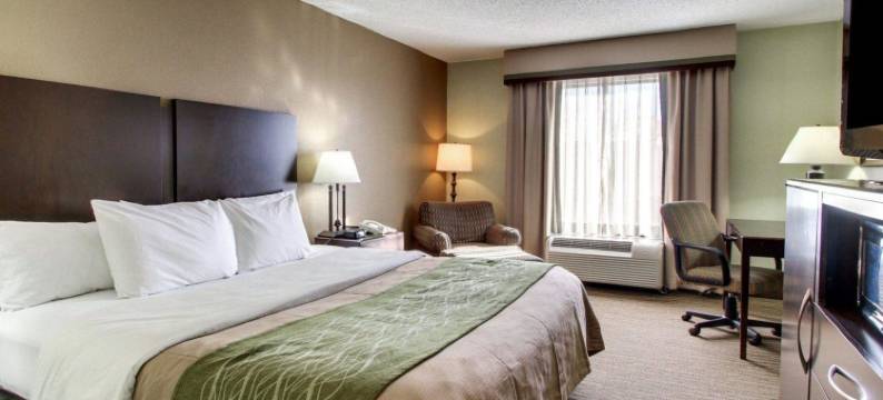 珀尔-杰克逊舒适酒店(Comfort Inn Pearl-Jackson)图片