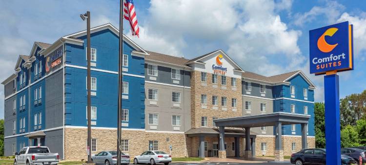 舒适套房酒店(Comfort Suites)图片