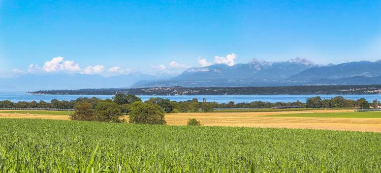 波塞城堡酒店(Château de Bossey)图片