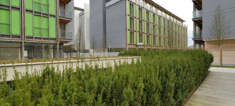 兰托NH酒店(NH Trento)图片