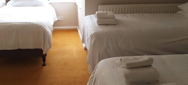 白房子旅馆(The White House Guest House)图片