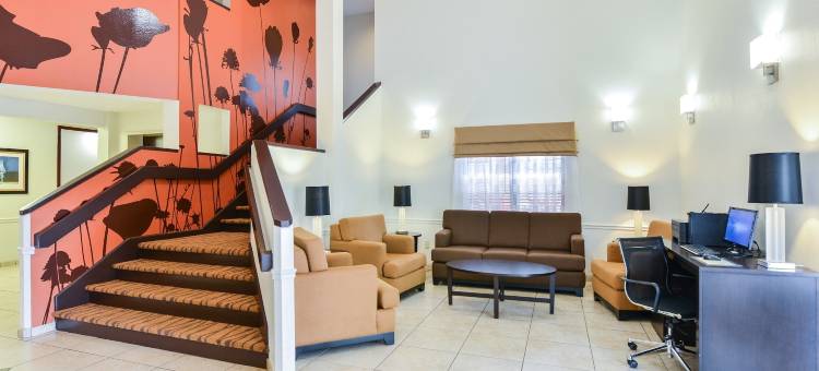 萨拉索塔北舒眠酒店(Sleep Inn Sarasota North)图片