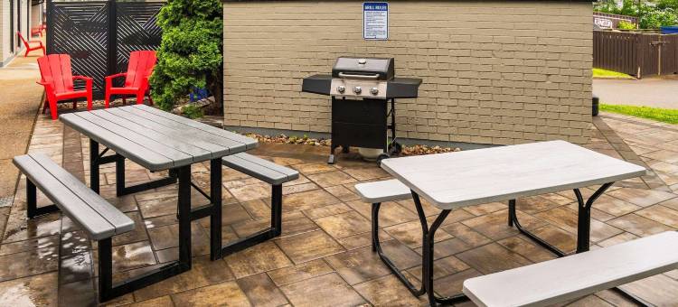 圭尔夫舒适酒店(Comfort Inn)图片