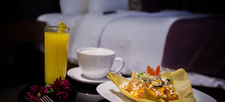 贝洛莫雷利亚大酒店(Hotel Belo Grand Morelia)图片