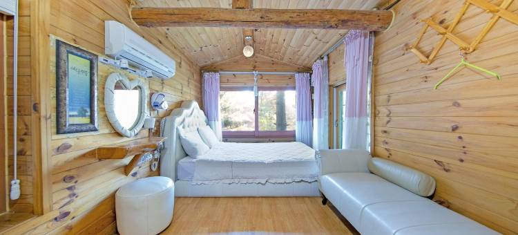 加平贝利塔溪谷旅馆(Gapyeong Belita Pension)图片