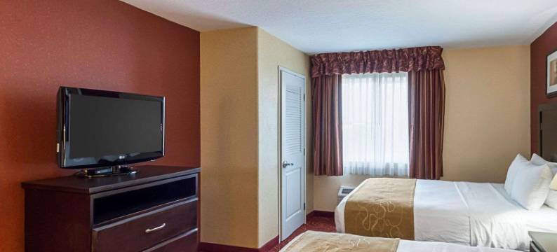 机场舒适套房酒店(Comfort Suites Airport)图片