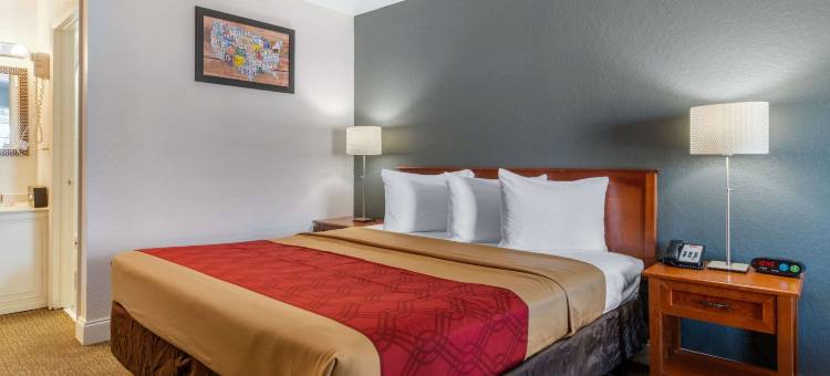 机场-坦帕RJ体育馆伊克诺旅馆(Econo Lodge Airport - RJ Stadium)图片